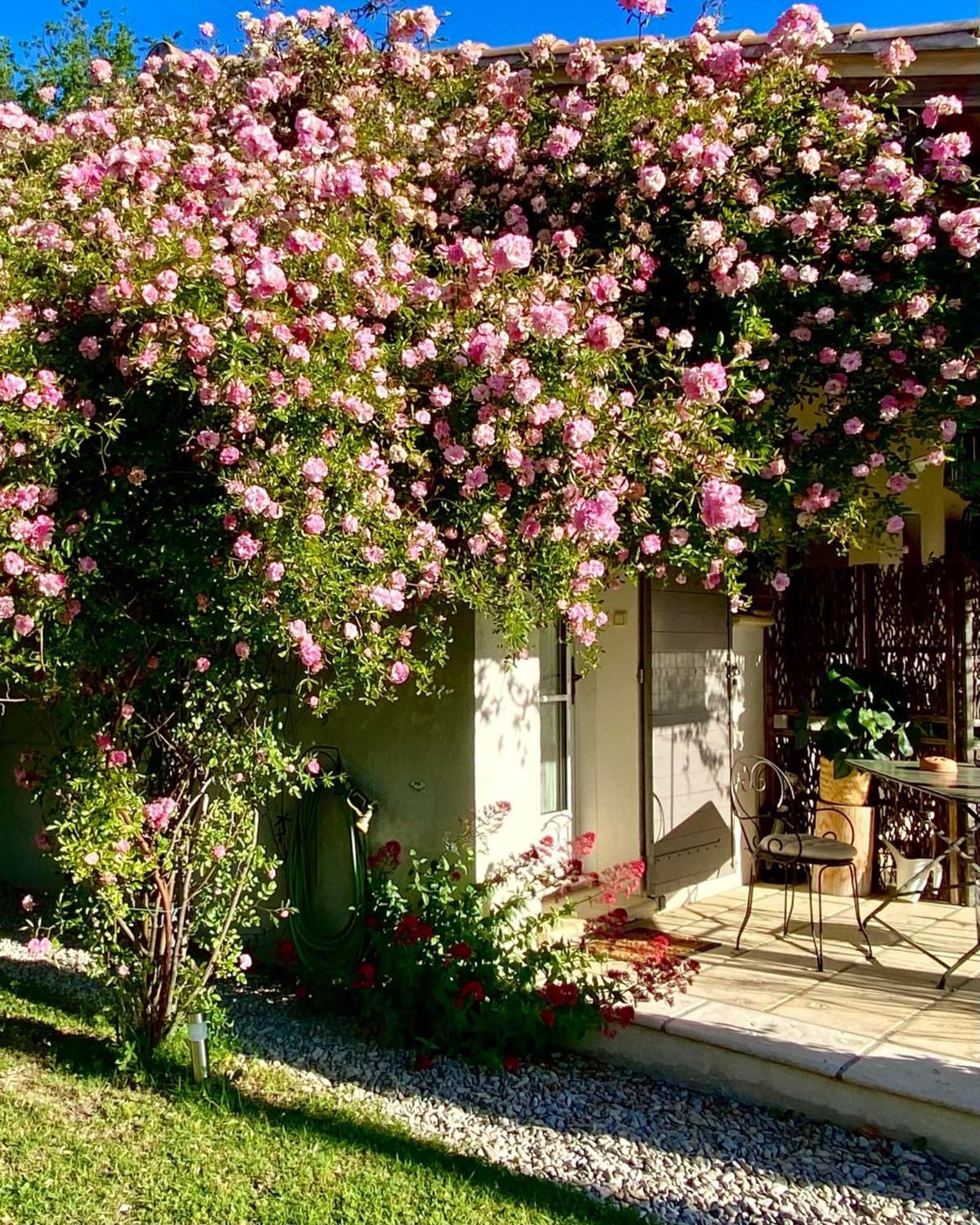 Villa Le Jardin de Lau à Aubignan Extérieur photo