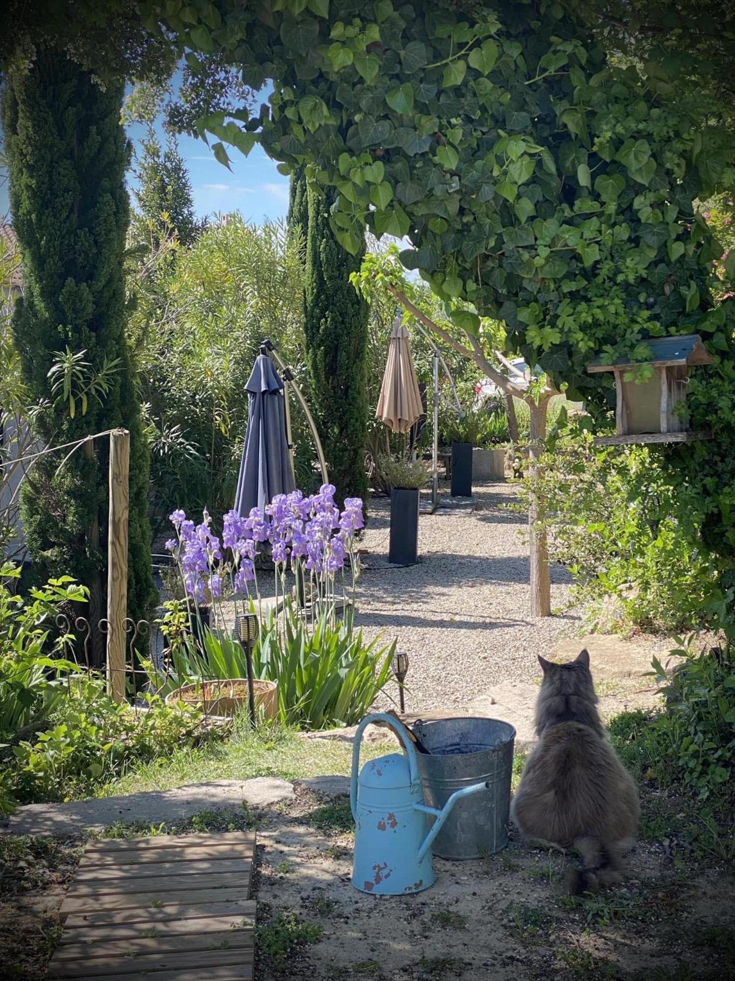 Villa Le Jardin de Lau à Aubignan Extérieur photo