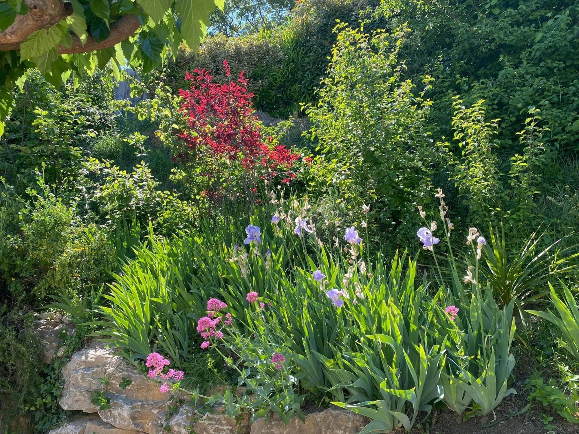 Villa Le Jardin de Lau à Aubignan Extérieur photo